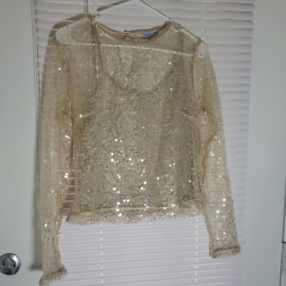 Sage & Fig Beige Sequin Cropped Blouse – Sparkle in Every Season - Picture 3 of 11